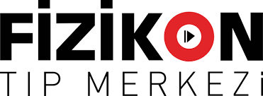 Fizikon